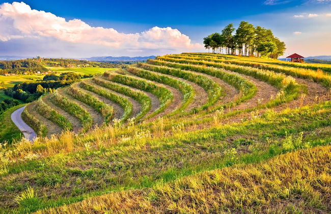 Eco House Lina With Hot Tub and Sauna - Foto 27