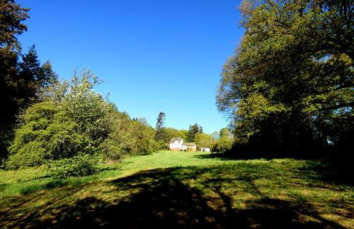 Forsthaus Hausbach - Ferienwohnung Hirsch - Foto 26