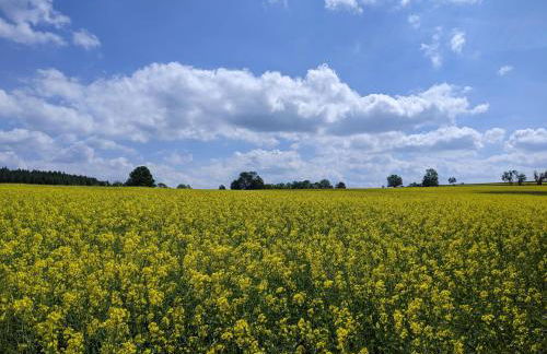 Ferienwohnung Aus-Zeit auf dem Lande - Foto 22