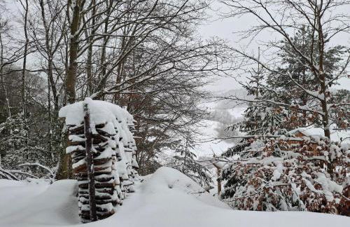 NORDIQUES DE LA WELCHE - Foto 9