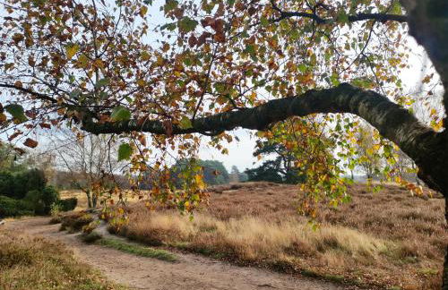 Mamat Ferienwohnungen - Foto 21