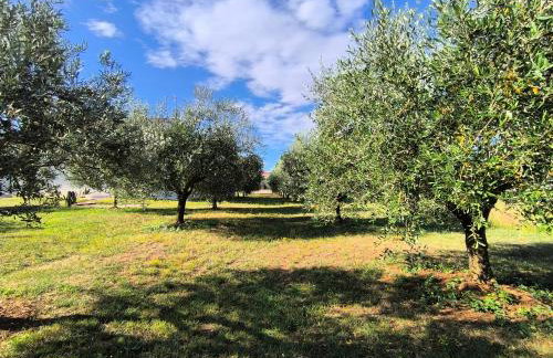 Danica & Mario Residence - Foto 18