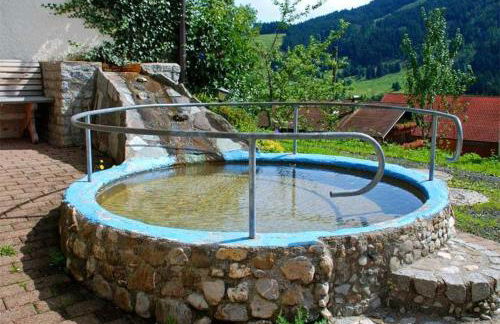 Ferienhof Ammann - Foto 12