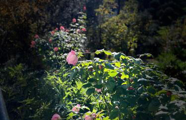 Δωμάτια Εξοχή-With fireplace and view to the sea - Foto 5