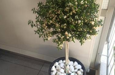 Sodi Cozy apartment - Foto 30