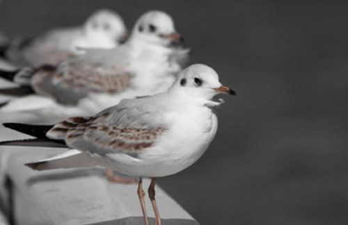 Holiday Home Großes Ferienhaus in Müggendorf mit Garten by Interhome - Foto 13