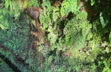 Casa Žerotín - Foto 51