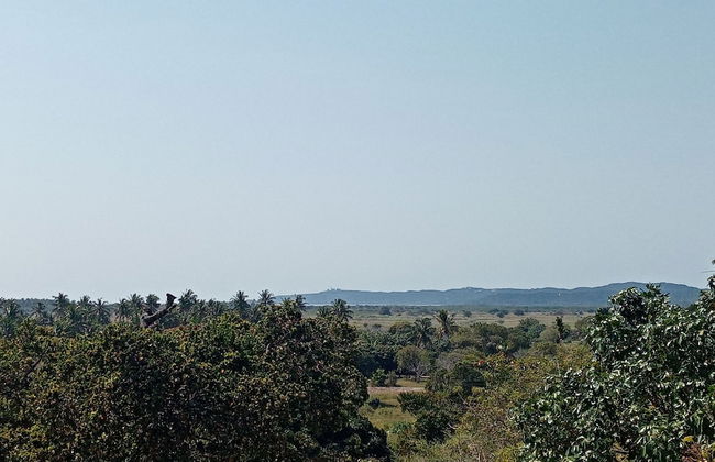 Restaurante Calor Tropical - Photo 70