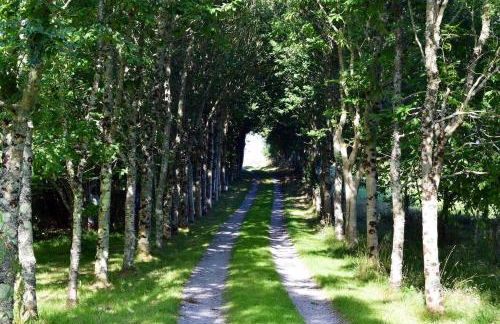 The Garden Room - Cabin on The Lizard - Foto 11