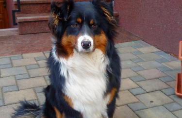 Ferienwohnung am Storchennest - Foto 17