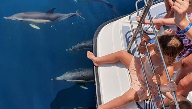 Von Lagos : Familienweg - Delfinbeobachtungsfahrt auf einem Katamaran - Foto 2, Kleine Kinder sitzen auf unserer Aussichtsplattform mit zusätzlichen Sicherheitsstangen und können die Delfine in Sicherheit und Komfort sehen.