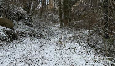 Maison de village - Photo 3