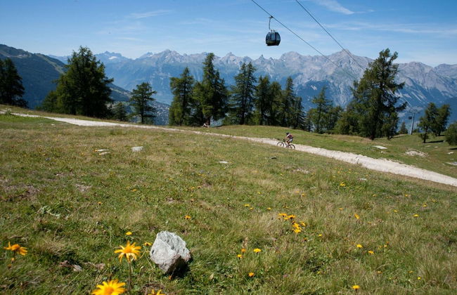 Diablerets D 010 -mountain Apartment 6 Pers - Foto 11