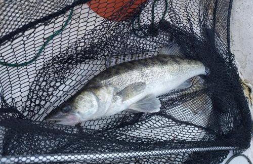 Leśne Domki Wejsuny - Foto 21