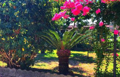 Casetta GGG - Foto 11