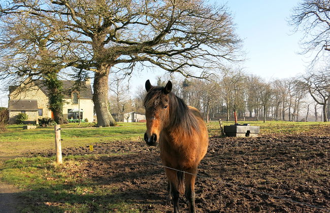 Le Petit Maître - Foto 20