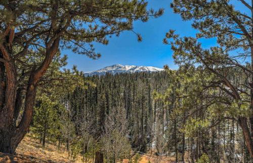 Mountain Vista - Foto 49