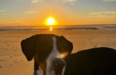 Évasion en Baie de Somme 700m mer et phoques le cabestan - Foto 19