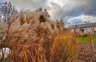 Villa Botanica - Foto 9