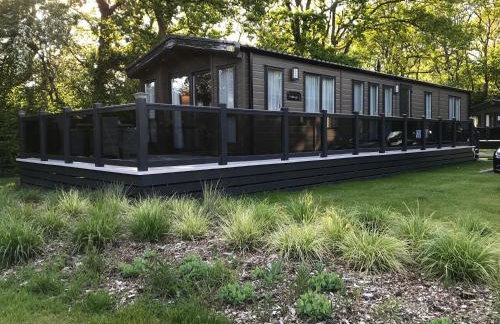 New Forest holiday lodge - Foto 13