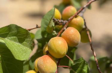 Aegean Endless Summer Villa Pefkos - Foto 66