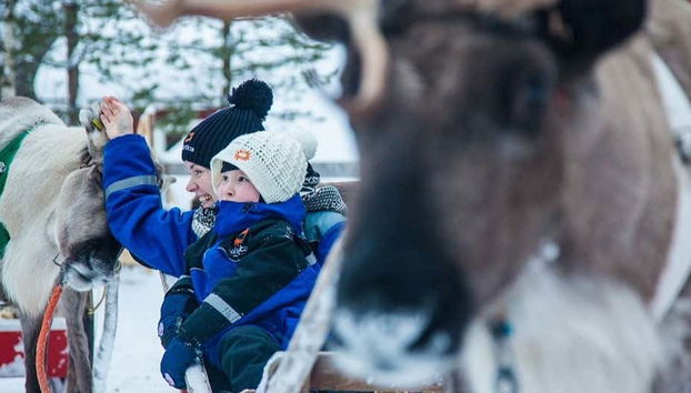 Ylläs Reindeer Sleigh Ride - Foto 2
