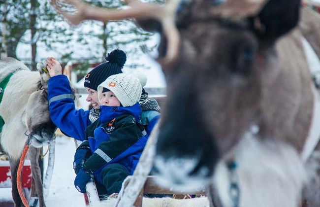 Ylläs Reindeer Sleigh Ride - Foto 1