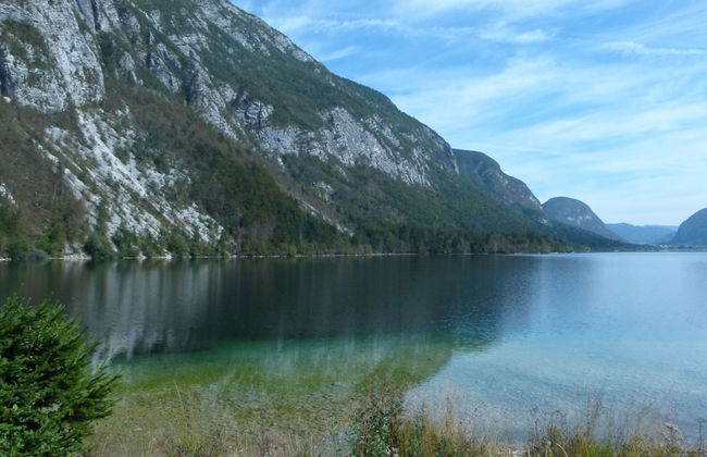 Balmy Apartment in Bohinjsko Jezero near Lake - Foto 21