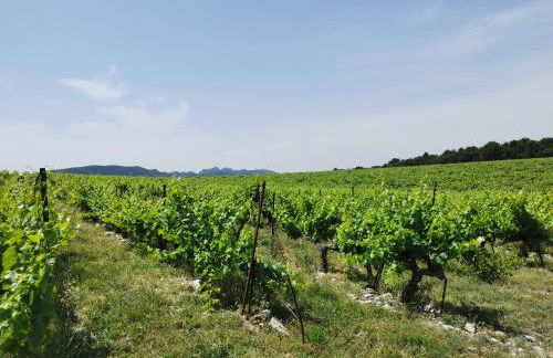 A-Ventoux Malaucène - Au pied du Ventoux - Photo 26