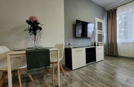 Apartamenty Parkowe nr 4 - Foto 9