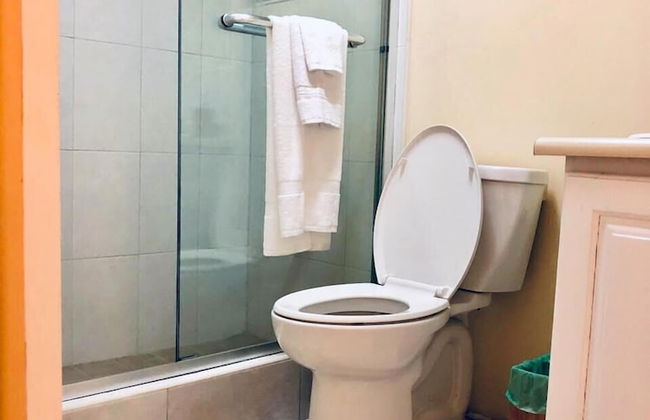 Waterloo Executive Guest Apartment - Foto 18