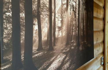 The Bunker - Foto 15