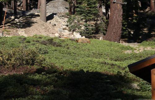 Comfy, Quiet, Condo near Lake Mary and the Village - Foto 47