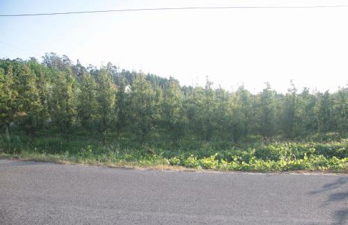 Vivenda Maria da Nazaré - Foto 48