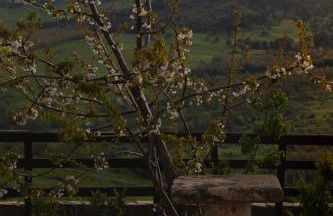 MonteSoprano Agriturismo - Resort - Spa - Gym -Camping - Suite - Foto 68