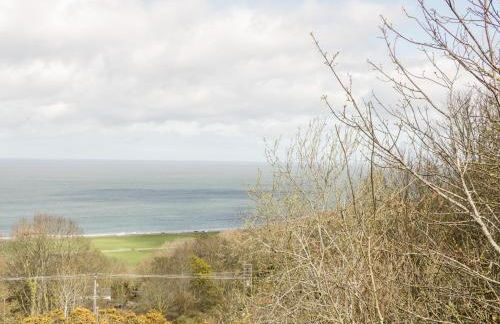 Bryn Goleu - Foto 23