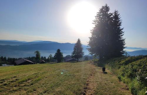 Mitterdorf - apartmán Almberg - Foto 20