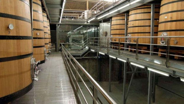 Découvrez le vin de la cave Buezo