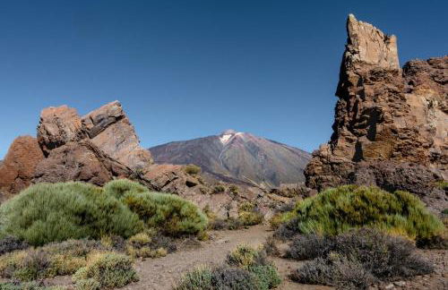 EDEN RENTALS Coastal Retreat - Foto 46