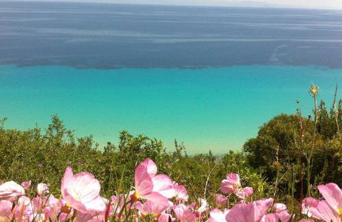 Aegean Blue Studios - Foto 26