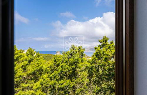 L'Oasi Blu - Foto 33