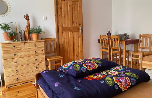 Apartament Hajstra z ogrodem - Foto 9