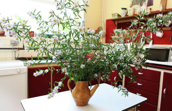 Spacious 11-bed Family Retreat - Photo 20