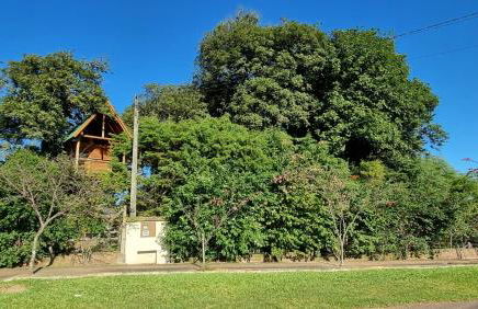 Casa na Árvore - Foto 19