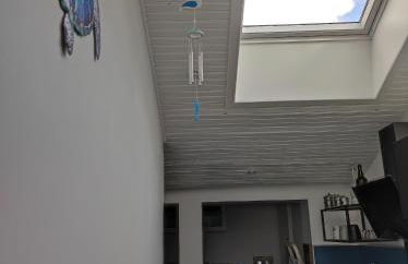 RACINES MARINES - Foto 20