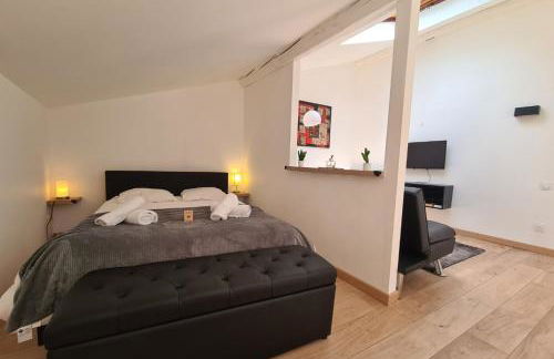 Nice studio under the roof ideal for 2 in Toulouse - Foto 6
