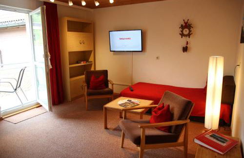 Steiert Panorama Apartments Todtnau - Foto 43