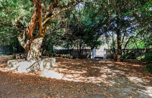 Chateau st-auriol - la bergerie - Photo 15