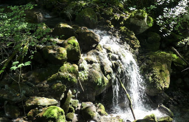 House By The Stream - Foto 19