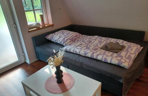 Ferienhaus ElbliebeHunde bis 25cm Höhe erlaubt! - Foto 16